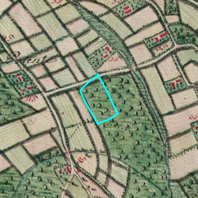 Ferraris (1771-1778)