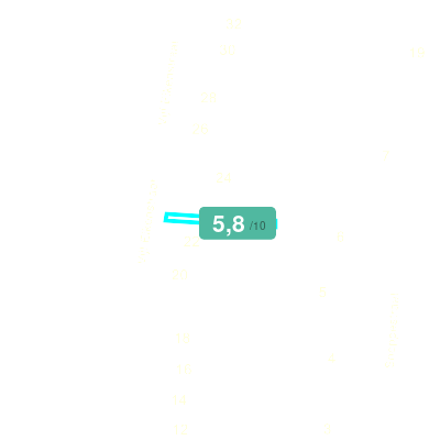 Mobiscore