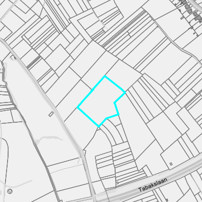 Vastgestelde archeologische zones