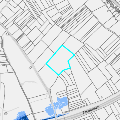 Overstromingsgevoelig (fluviaal)