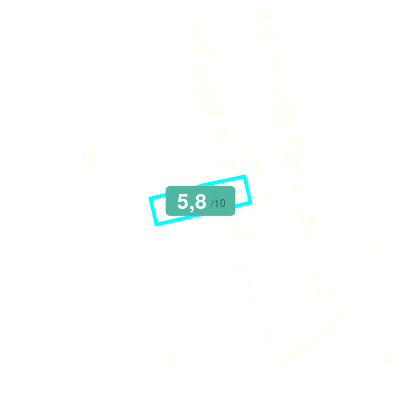 Mobiscore