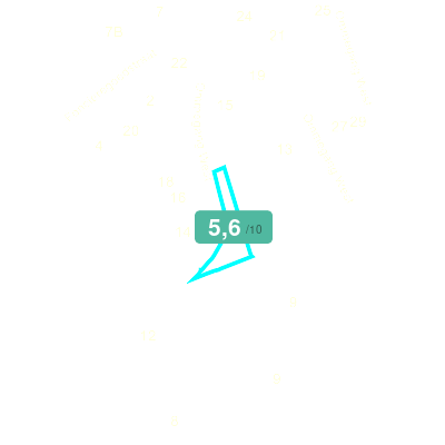 Mobiscore