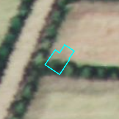 Ferraris (1771-1778)