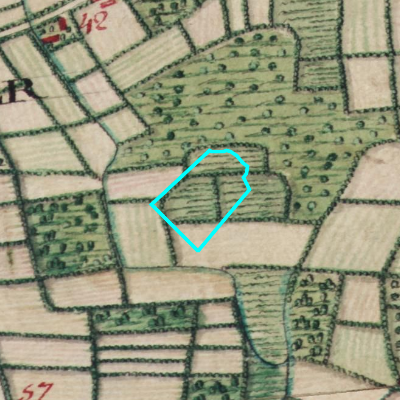 Ferraris (1771-1778)