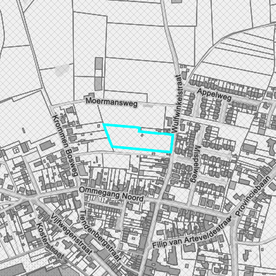 Ruimtelijke uitvoeringsplannen (RUP)