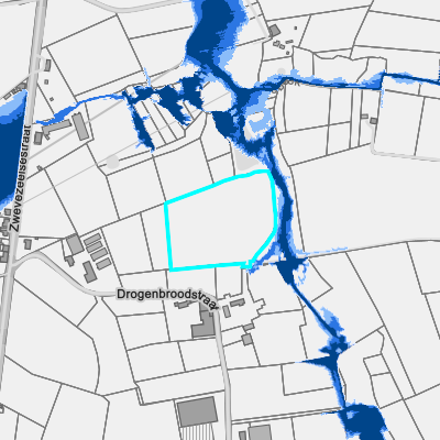 Overstromingsgevoelig (pluviaal)