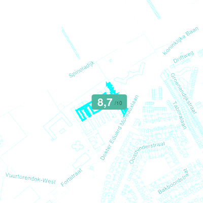 Mobiscore