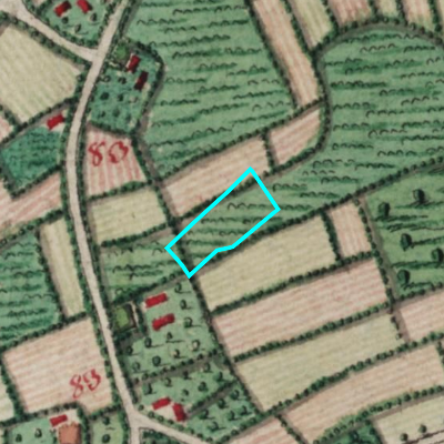 Ferraris (1771-1778)