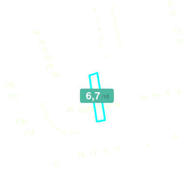 Mobiscore