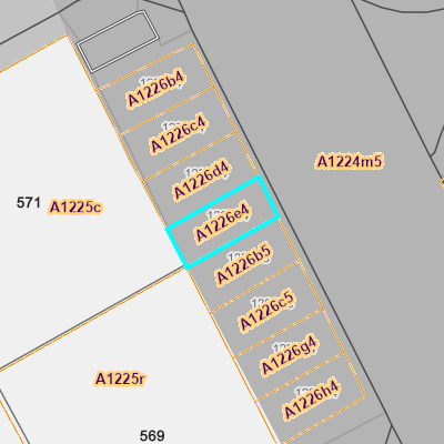 CADGIS