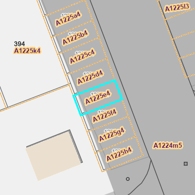 CADGIS