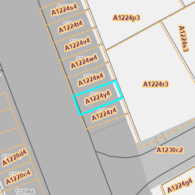 CADGIS