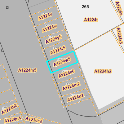 CADGIS