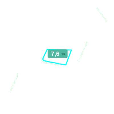 Mobiscore