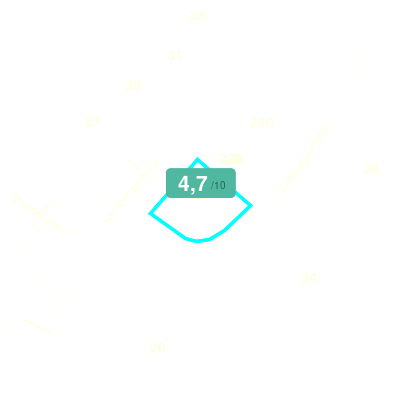 Mobiscore