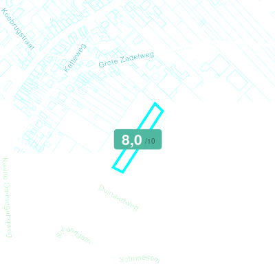 Mobiscore