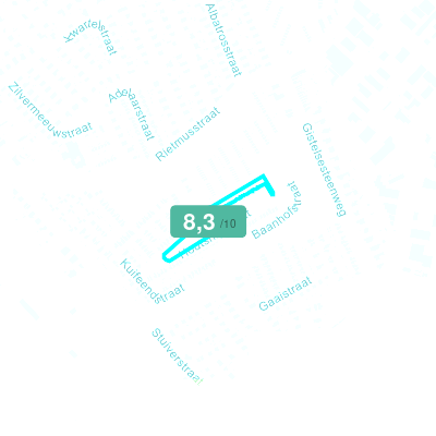 Mobiscore