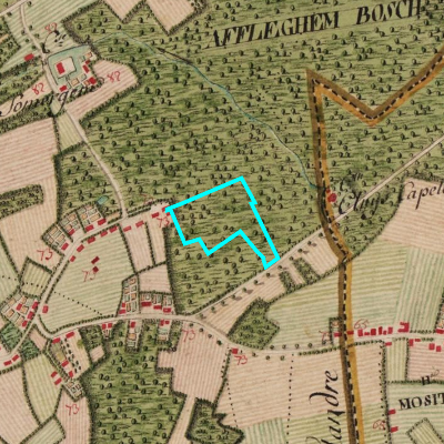 Ferraris (1771-1778)