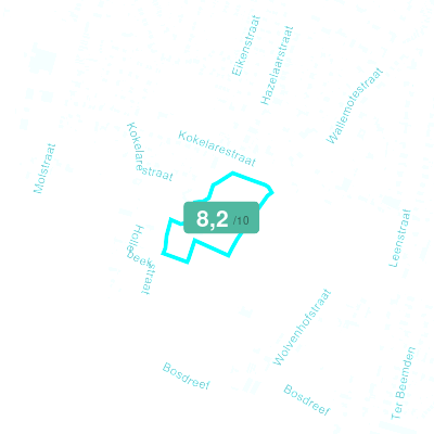 Mobiscore