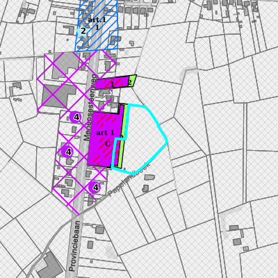 Ruimtelijke uitvoeringsplannen (RUP)