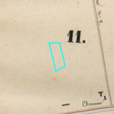 Algemeen Bodemgebruik (ABW)