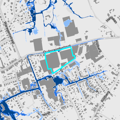Overstromingsgevoelig (pluviaal)