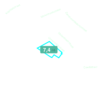 Mobiscore