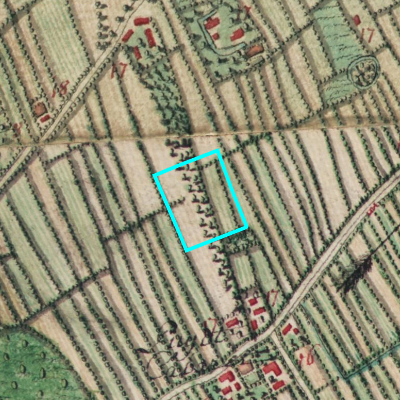 Ferraris (1771-1778)