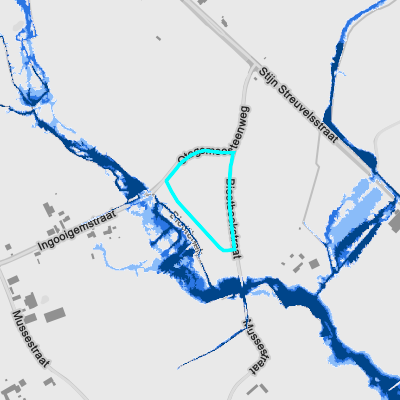 Overstromingsgevoelig (pluviaal)