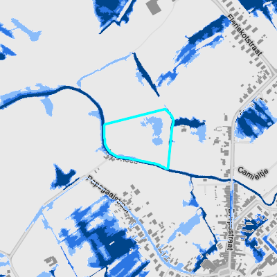 Overstromingsgevoelig (pluviaal)