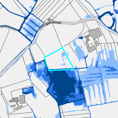 Overstromingsgevoelig (fluviaal)