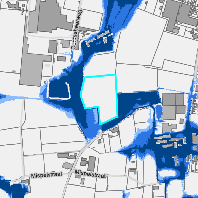 Overstromingsgevoelig (pluviaal)