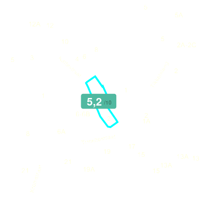 Mobiscore