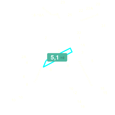 Mobiscore