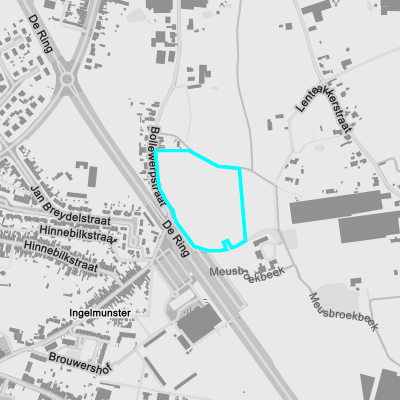 Vastgestelde archeologische zones