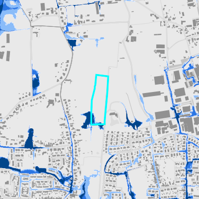 Overstromingsgevoelig (pluviaal)
