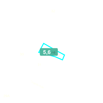 Mobiscore