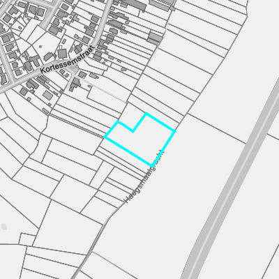 Overstromingsgevoelig (fluviaal)