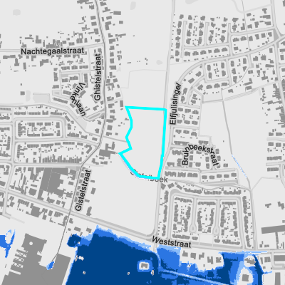 Overstromingsgevoelig (fluviaal)