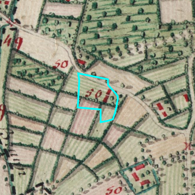 Ferraris (1771-1778)