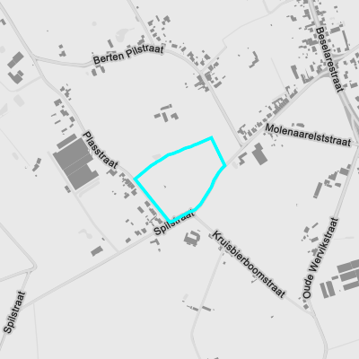 Recht van voorkoop