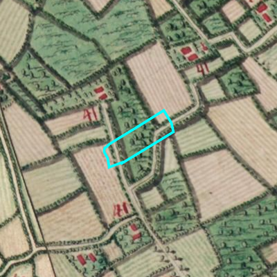 Ferraris (1771-1778)