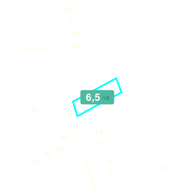 Mobiscore