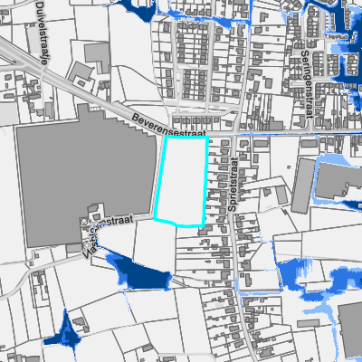 Overstromingsgevoelig (pluviaal)