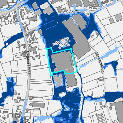 Overstromingsgevoelig (pluviaal)