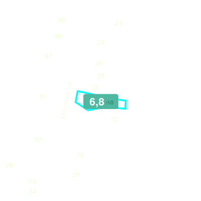 Mobiscore