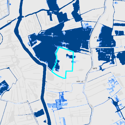 Overstromingsgevoelig (fluviaal)
