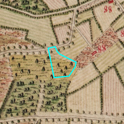 Ferraris (1771-1778)