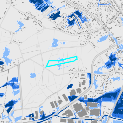 Overstromingsgevoelig (pluviaal)