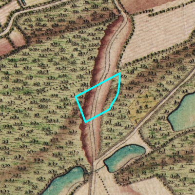 Ferraris (1771-1778)
